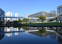2025年球盟会QMH(中国)官方网站
公共卫生学院“夏令营”