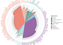球盟会QMH(中国)官方网站
公共卫生学院胡付兰副教授团队在《European Journal of Epidemiology》上发表文章