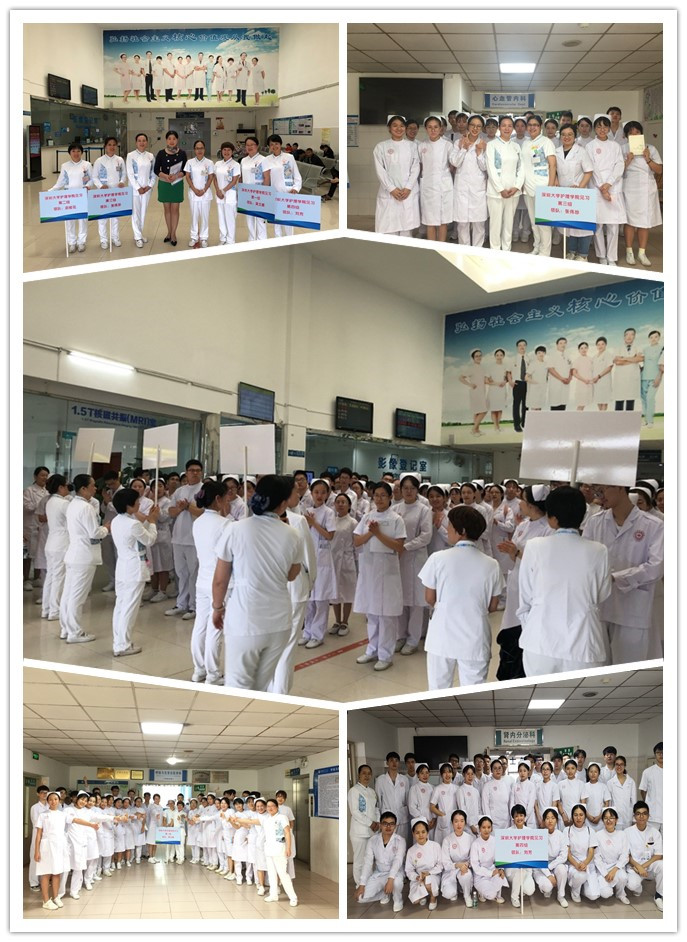 球盟会