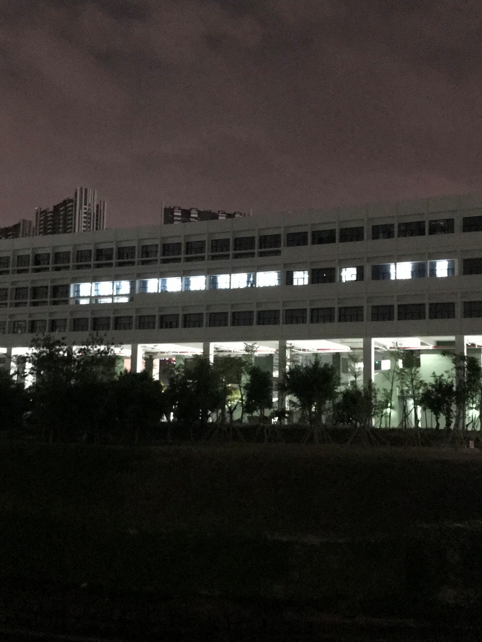球盟会
