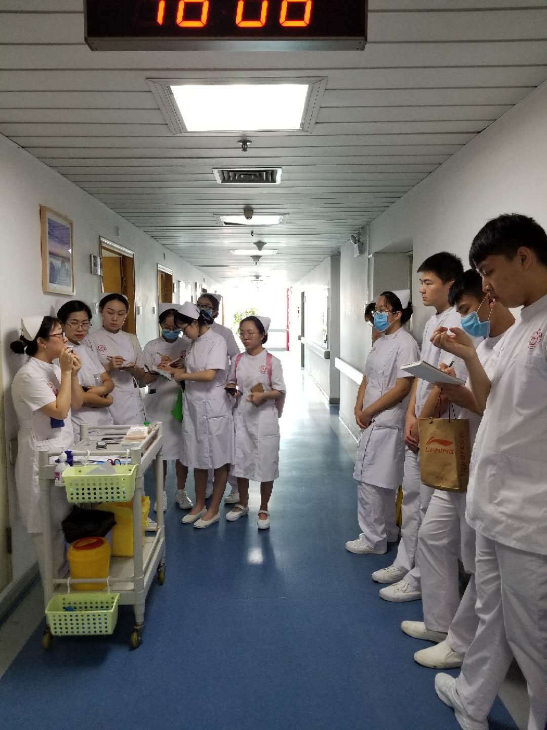 球盟会