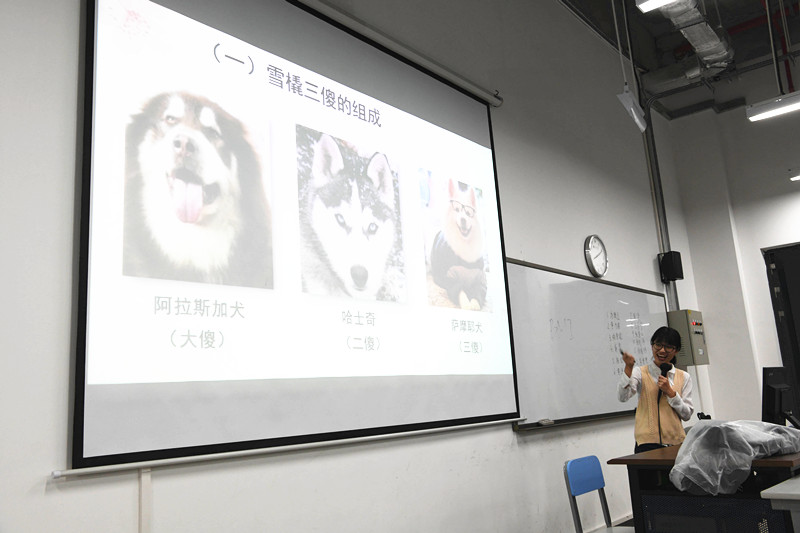 球盟会