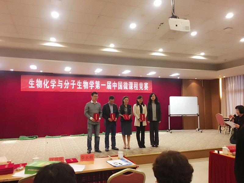 球盟会