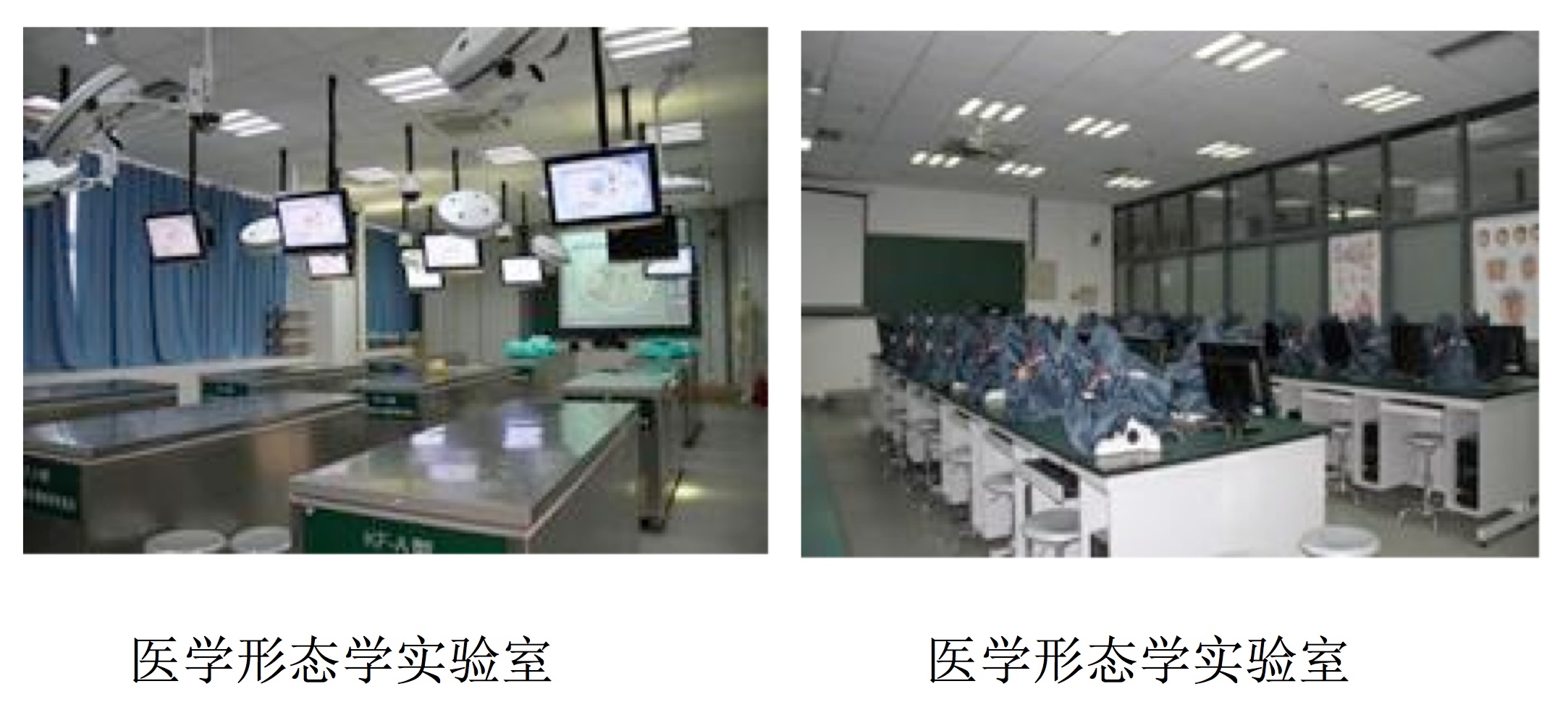 球盟会
