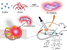 球盟会QMH(中国)官方网站
生物医学工程学院黄鹏特聘教授团队在《ACS Nano》发表文章