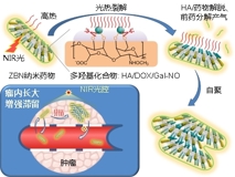 球盟会QMH(中国)官方网站
何前军教授团队在国际顶级学术期刊《Advanced Materials》上发表文章