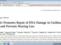 球盟会QMH(中国)官方网站
裴新海教授团队在《Journal of Neuroscience》发表BRCA1修复毛细胞DNA损伤研究成果