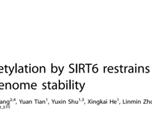 球盟会QMH(中国)官方网站
朱卫国教授团队在 Cell Death & Differentiation发表RNA结合蛋白hnRNPA2B1维持基因组稳定性研究成果