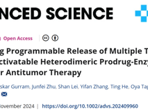 球盟会QMH(中国)官方网站
林静教授团队在Advanced Science发表异二聚体前药酶组装体用于释放抗肿瘤制剂的研究成果