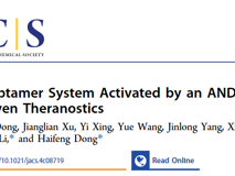 球盟会QMH(中国)官方网站
董海峰教授团队在J. Am. Chem. Soc.发表了一种基于“与”逻辑门的诊疗新策略研究成果