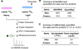 Quantitative crotonylome analysis reveals that crotonylation of splicing factors is involved in DNA damage response