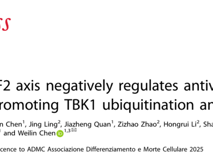 球盟会QMH(中国)官方网站
陈玮琳教授团队在 Cell Death & Differentiation发表USP43/RNF2轴调控抗病毒固有免疫研究成果