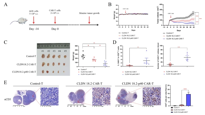 A close-up of a diagram

AI-generated content may be incorrect.