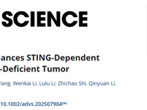 球盟会QMH(中国)官方网站
初碧珠助理教授团队在Advanced Science发表重建STING通路增强免疫治疗效应的研究成果