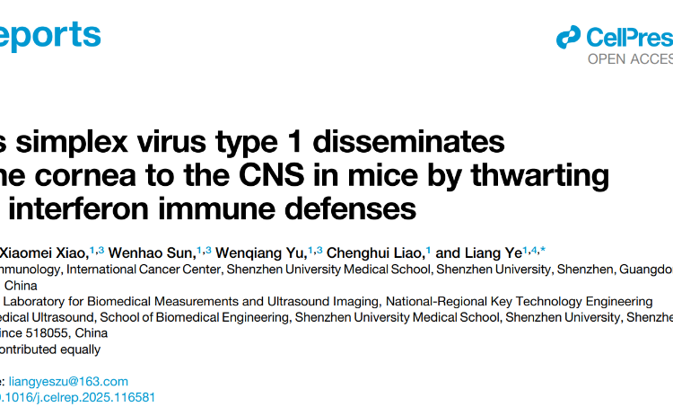 球盟会QMH(中国)官方网站
叶亮副教授团队在Cell Reports发表关于疱疹病毒传播的研究成果