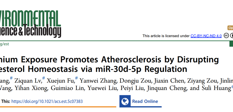 球盟会QMH(中国)官方网站
黄素丽副教授团队在自然指数期刊Environmental Science & Technology发文解析重金属镉暴露致缺血性脑卒中的新机制