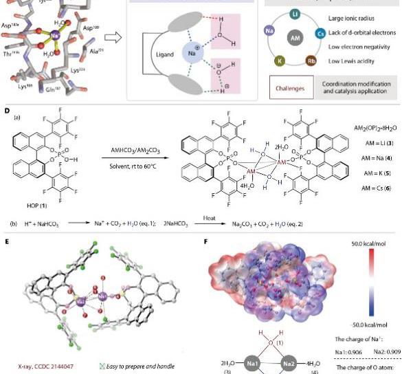 球盟会QMH(中国)官方网站
王锐院士团队在Science Advances报道手性药物重要进展